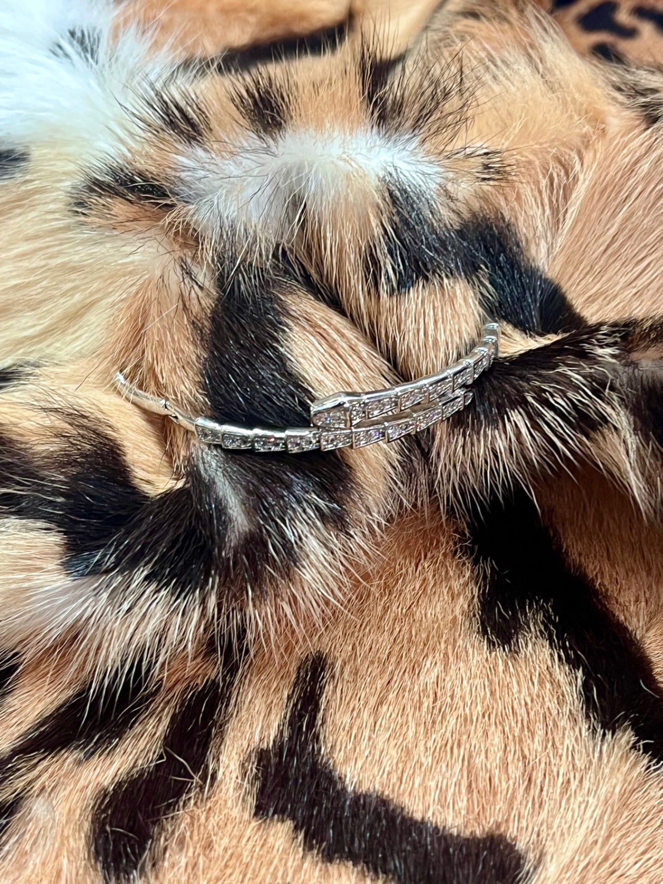 Snake Silver crystal bangle