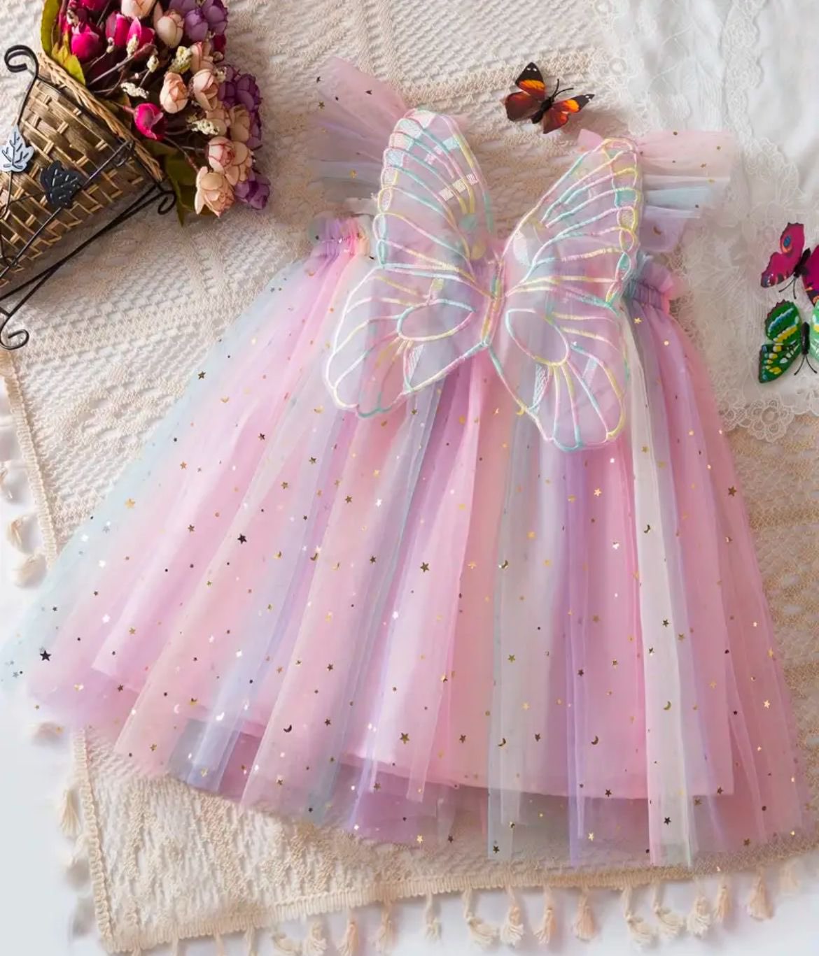 Rainbow Winged Dress 4 Years