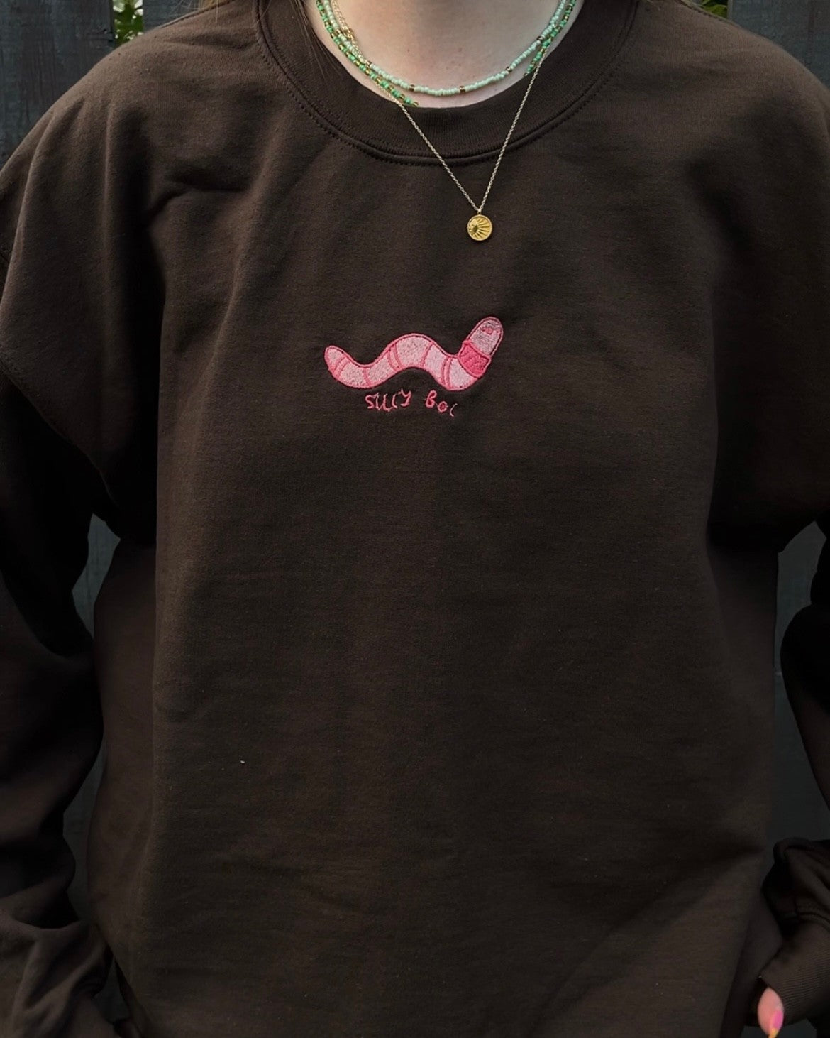 Silly Boi Worm Unisex Embroidered Brown Sweatshirt - Extra Large