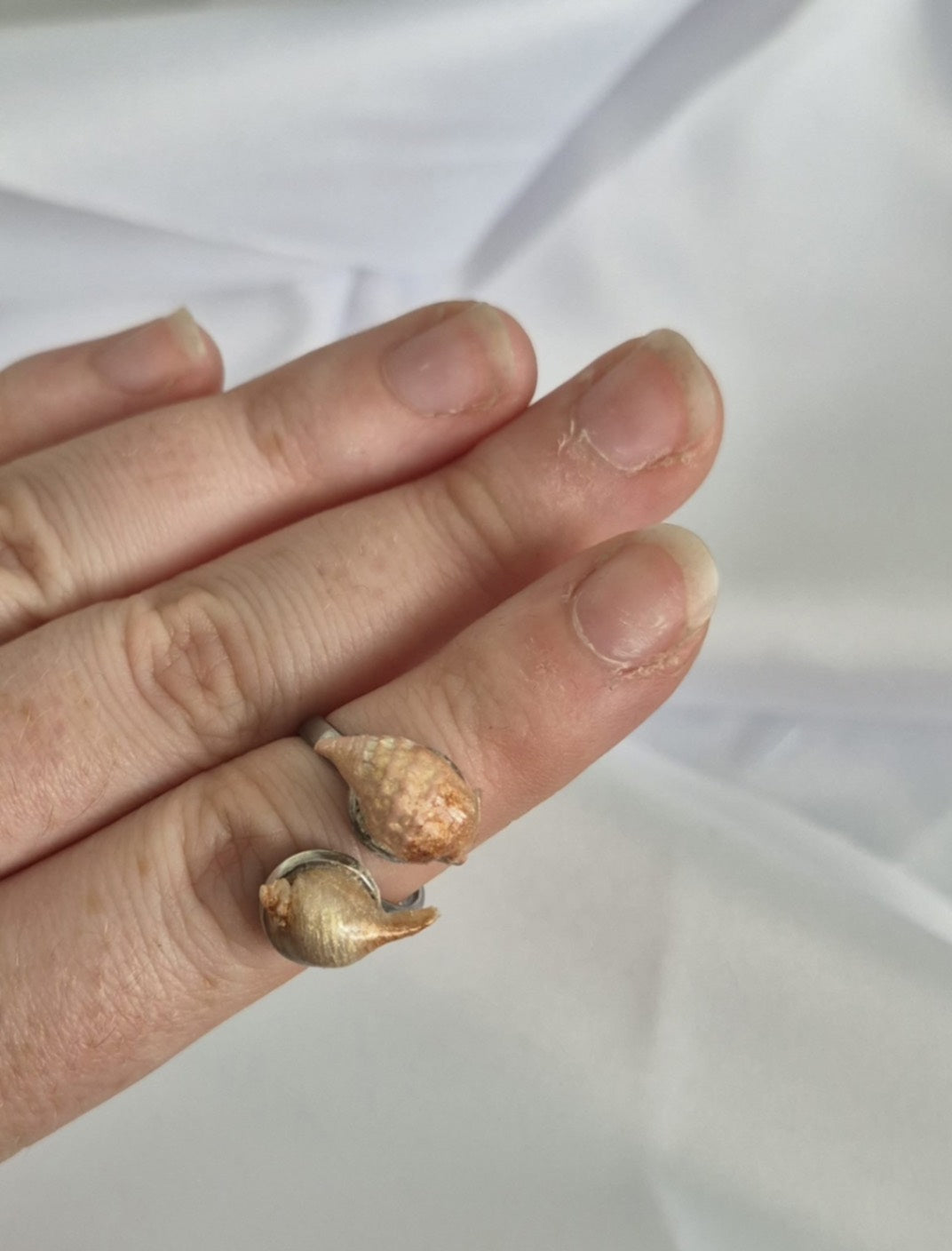 2 prong Seashell Ring