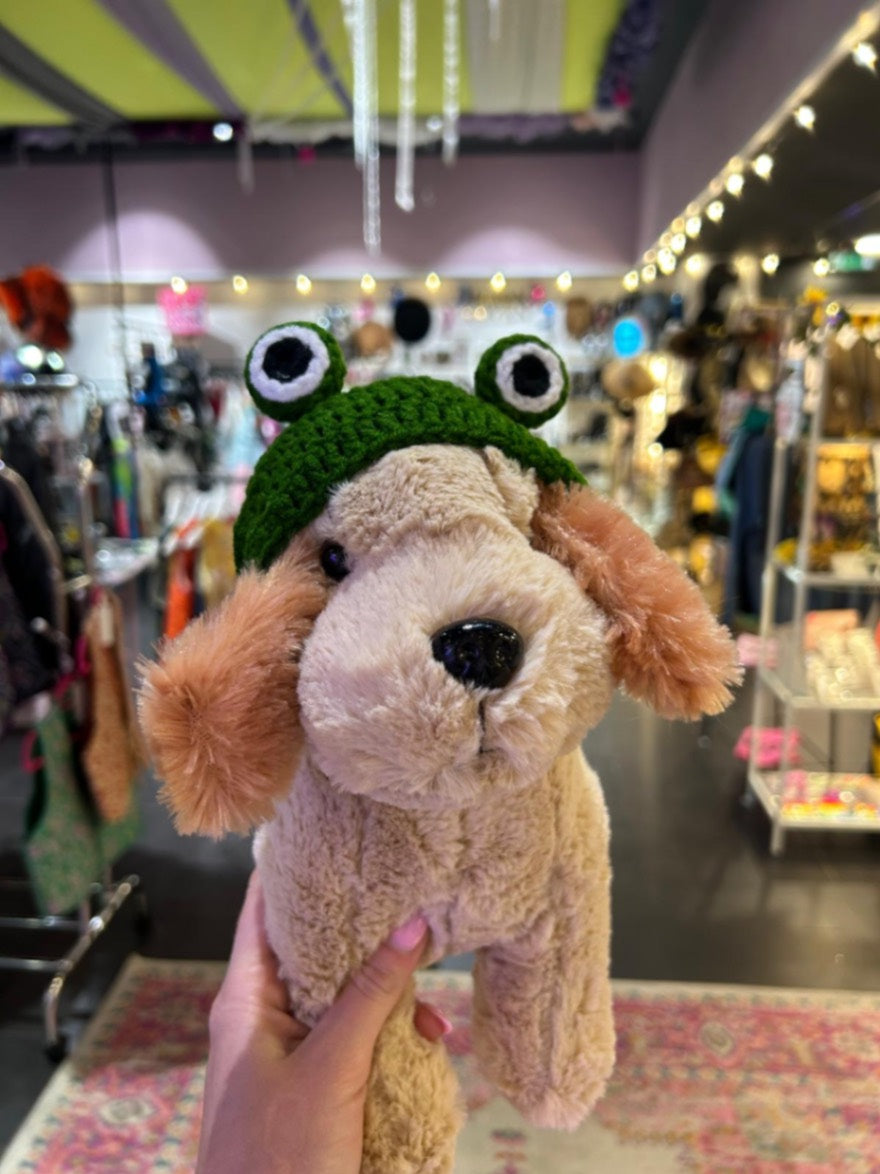 Frog Eye Pet Hat