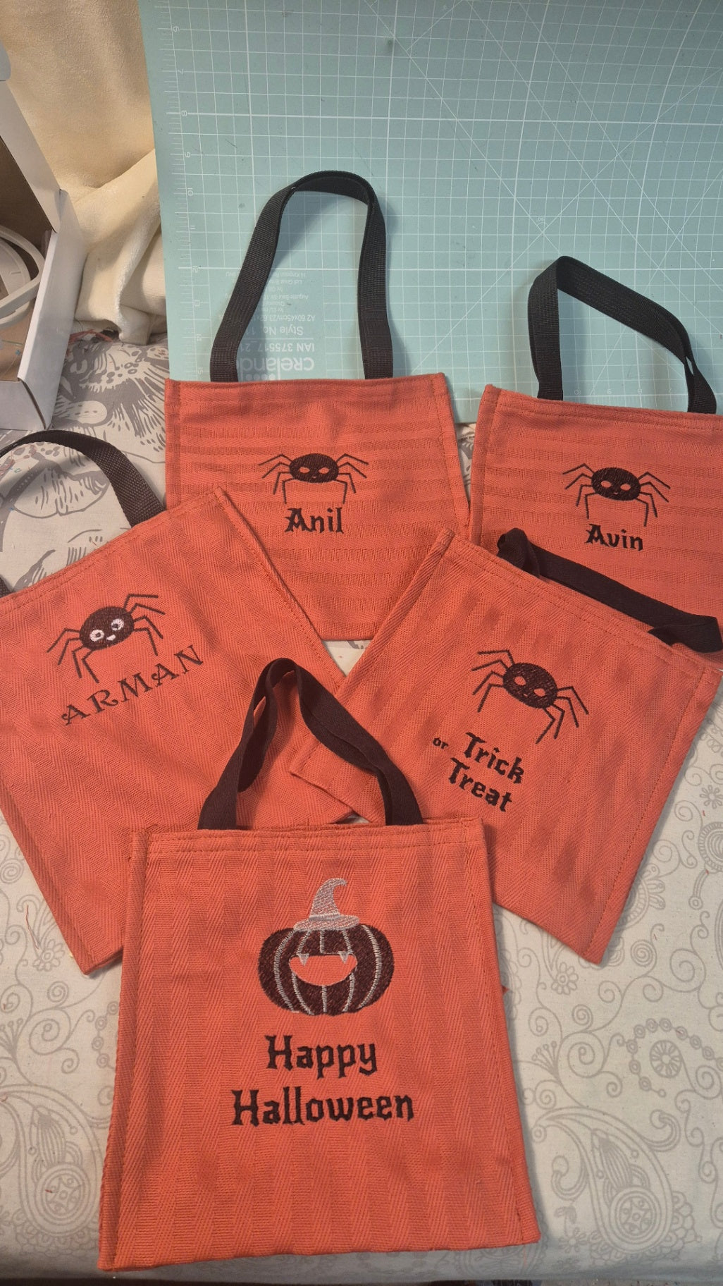Trick or Treat bag