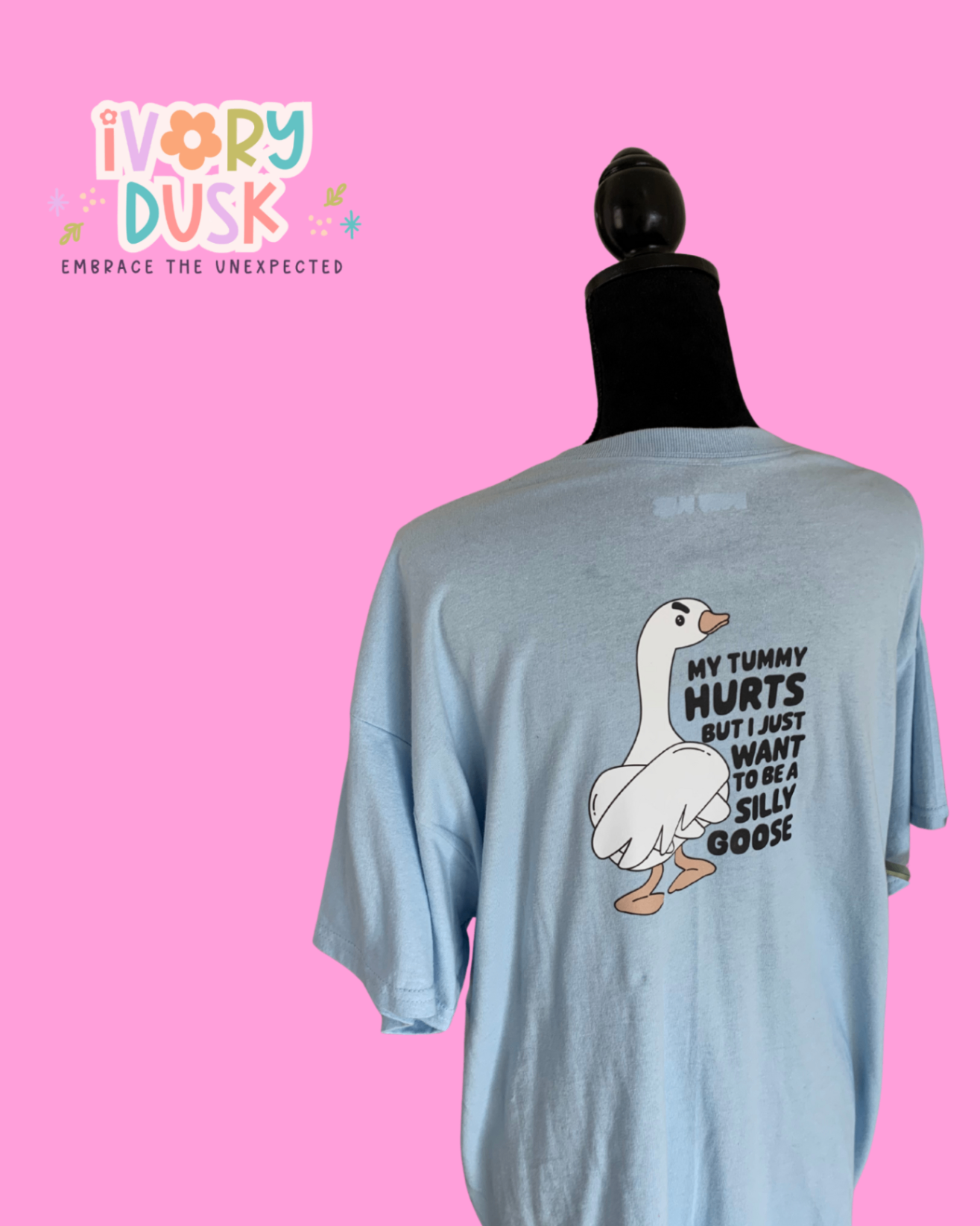 Silly goose light blue tshirt