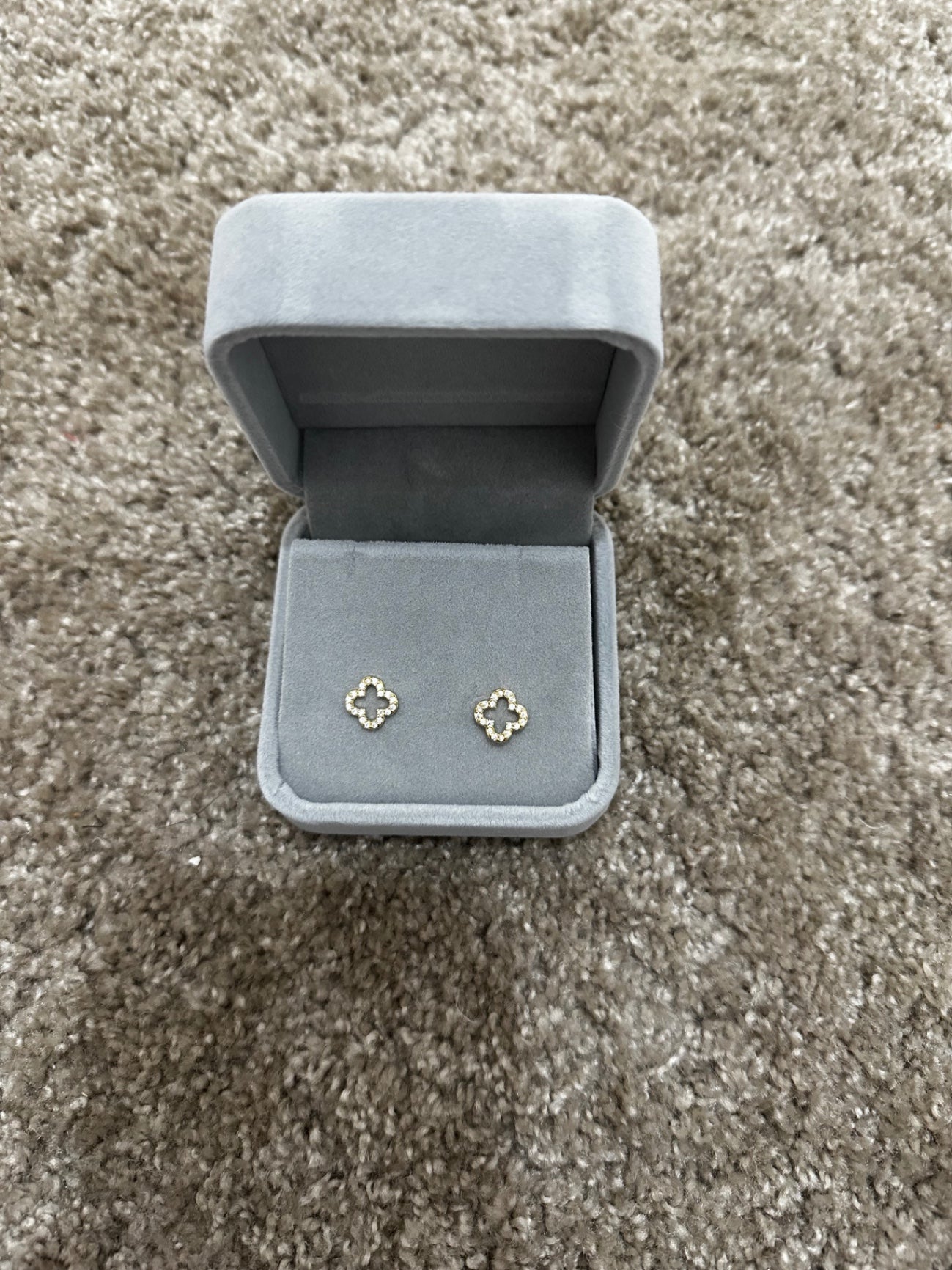 Clove earrings