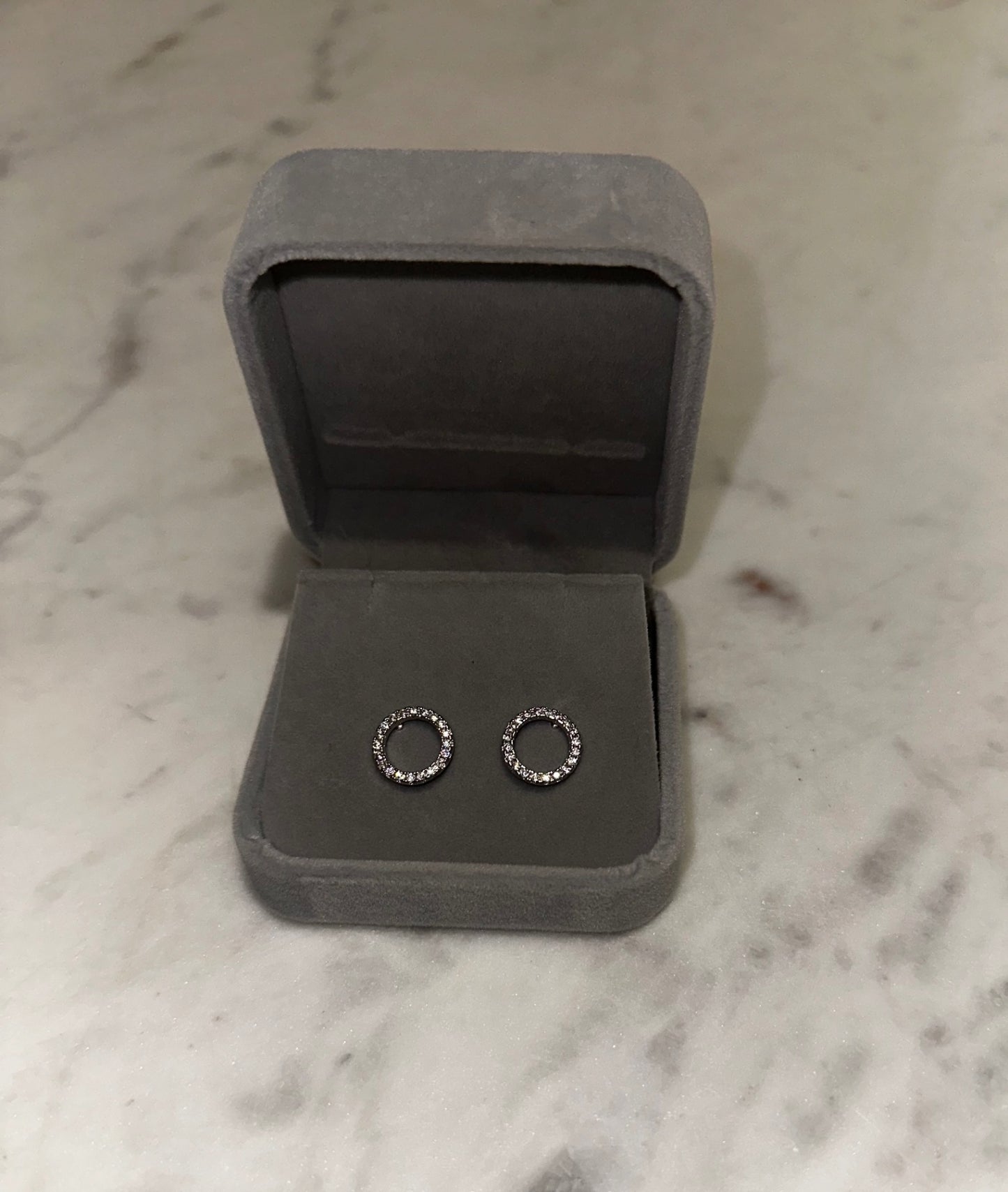 Circle of life silver