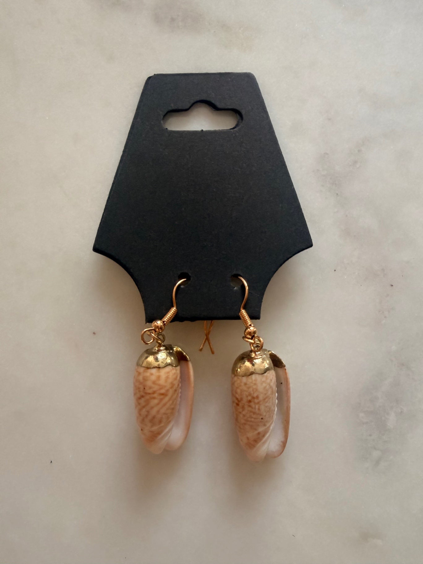 Shell obsessed