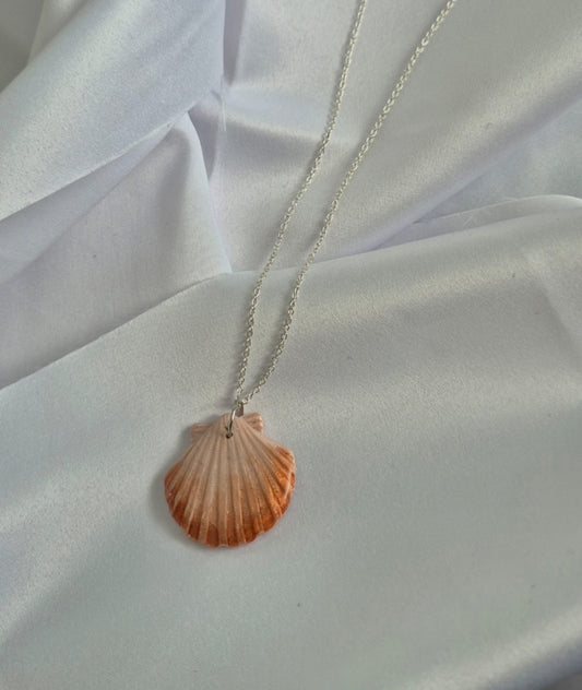 Seashell Pendant Necklace