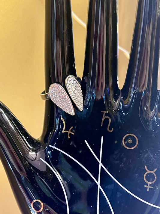 Guardian Wings Stainless Steel Ring