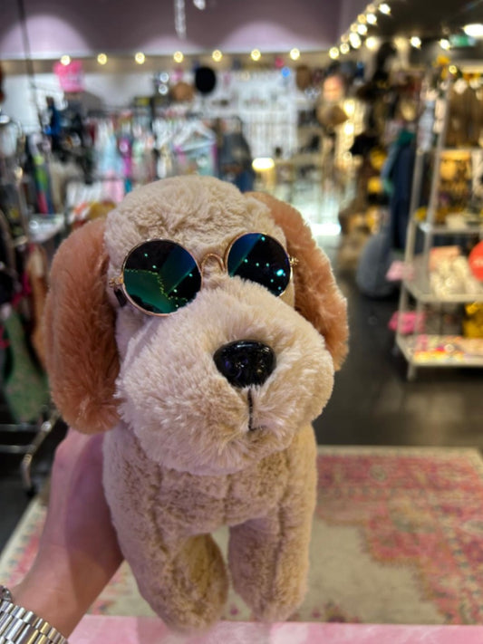 Pet Glasses