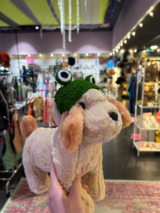 Frog Eye Pet Hat