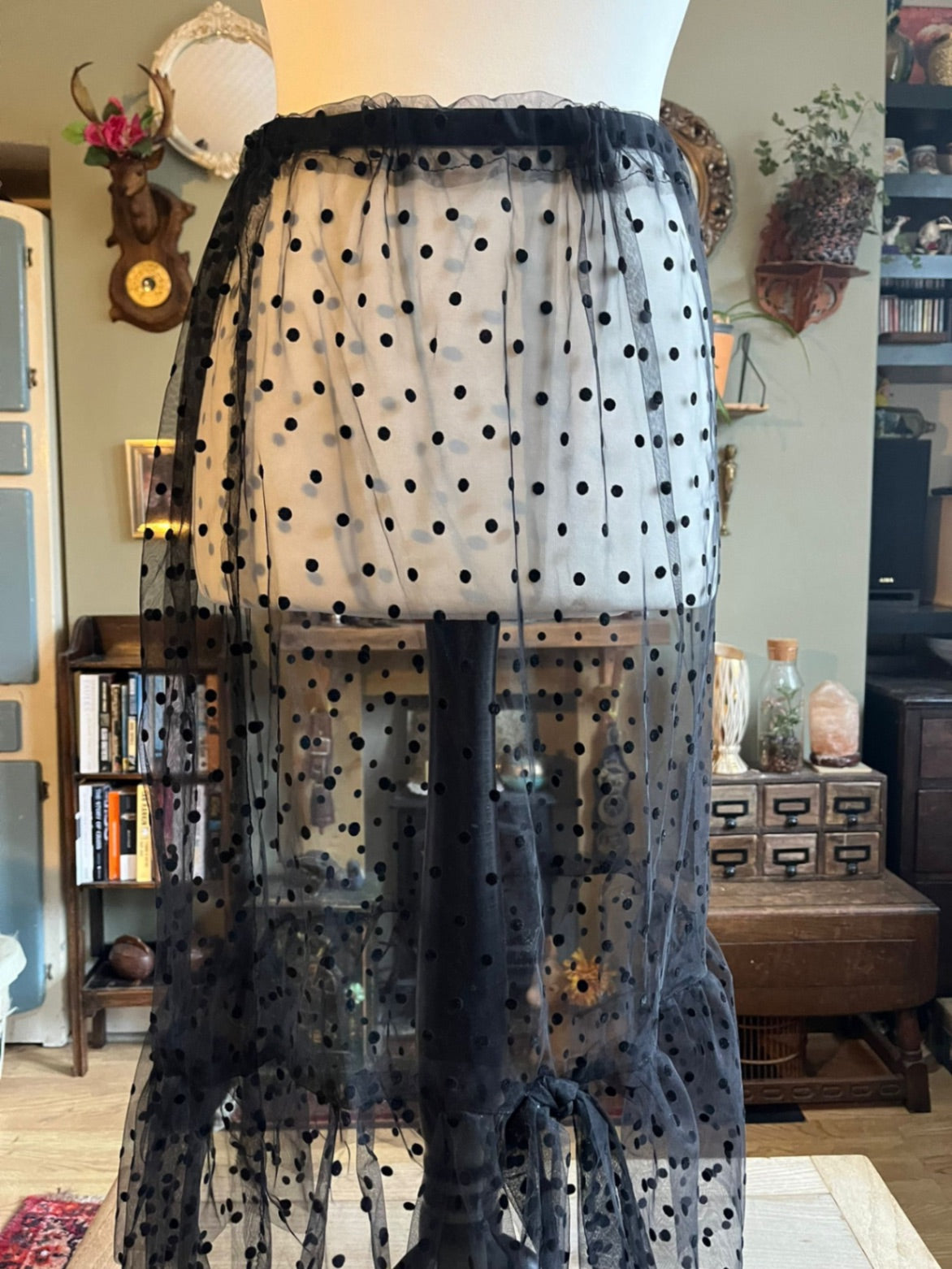 Sheer Black Skirt
