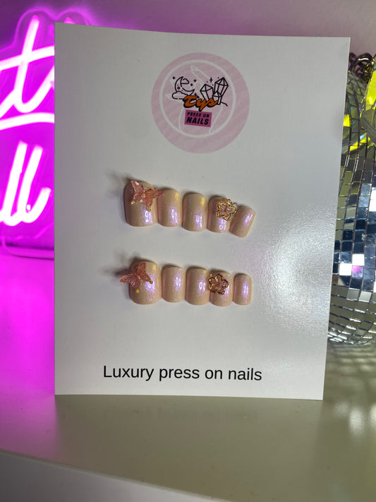 Butterflies & Flowers