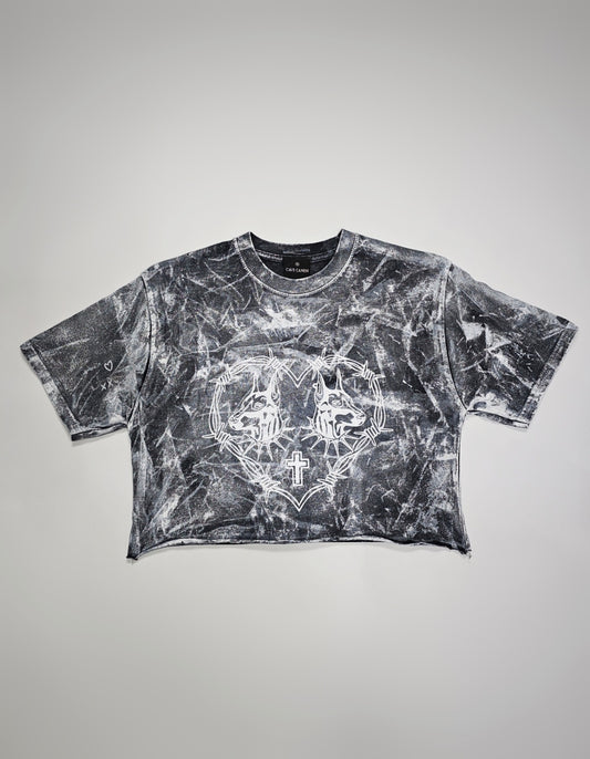 CC Painted Heart Crop Top 