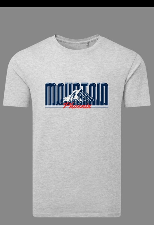 Mountain grey L Tshirt 