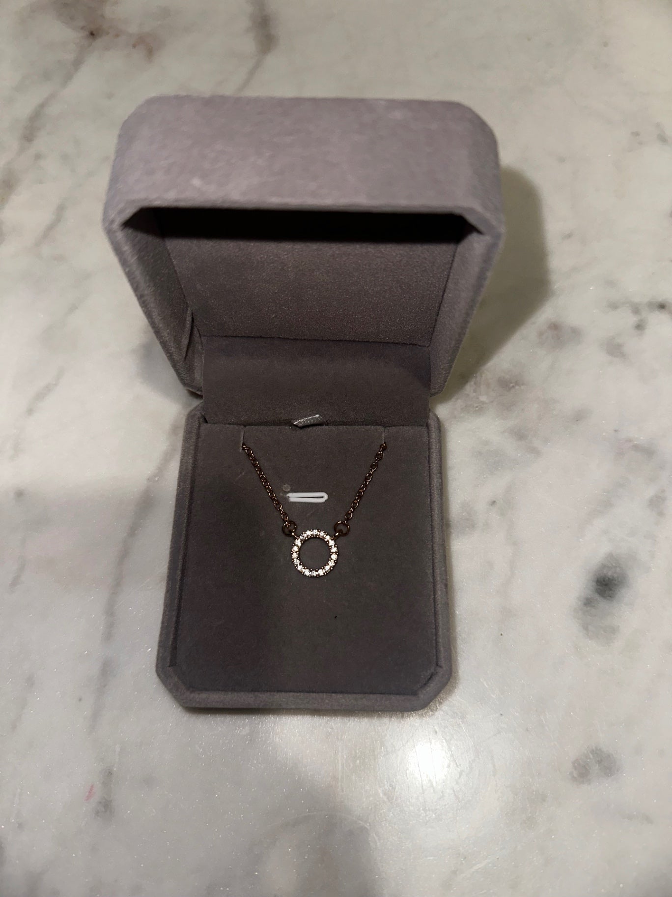 Circle of life necklace 