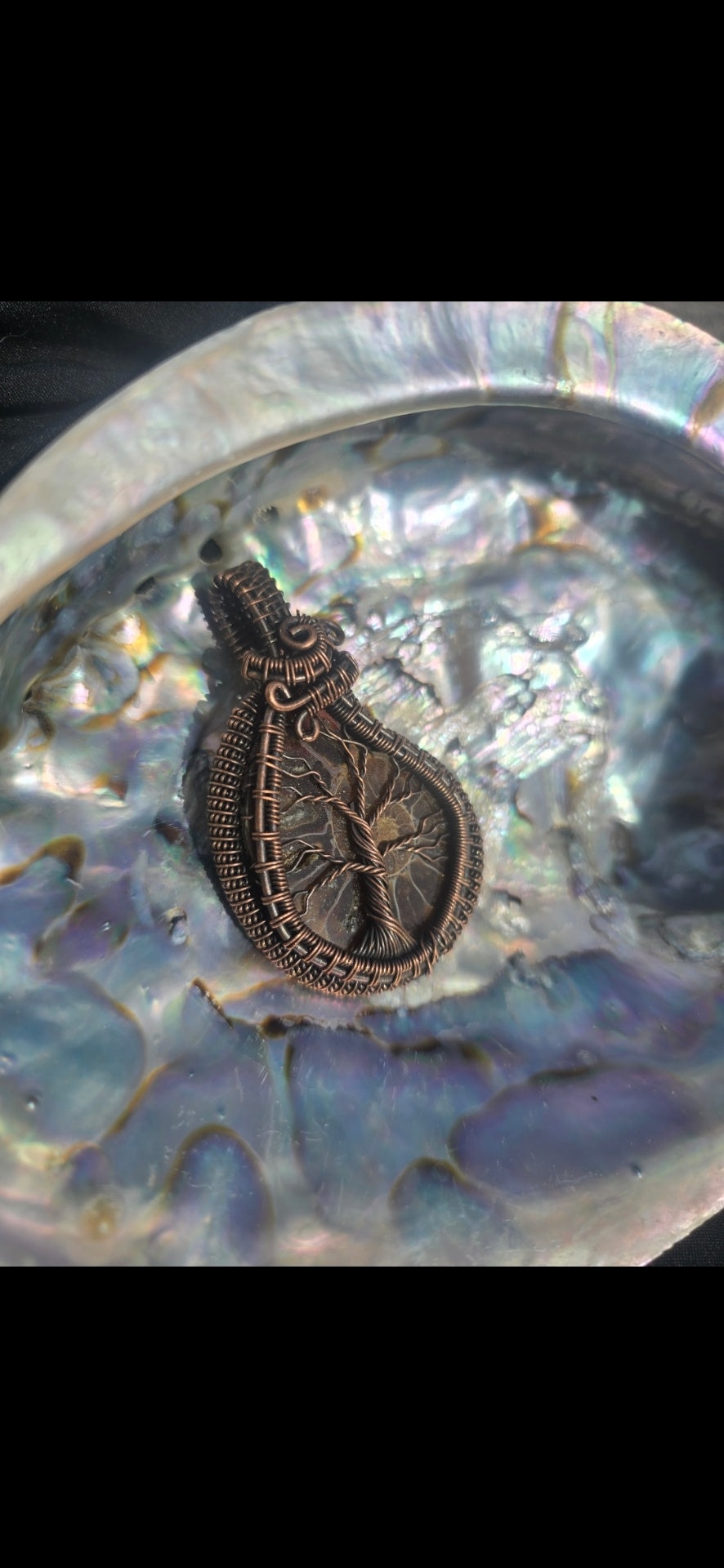 Ammonite fossil necklace 