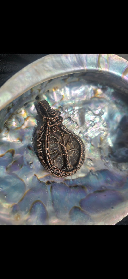 Ammonite fossil necklace 