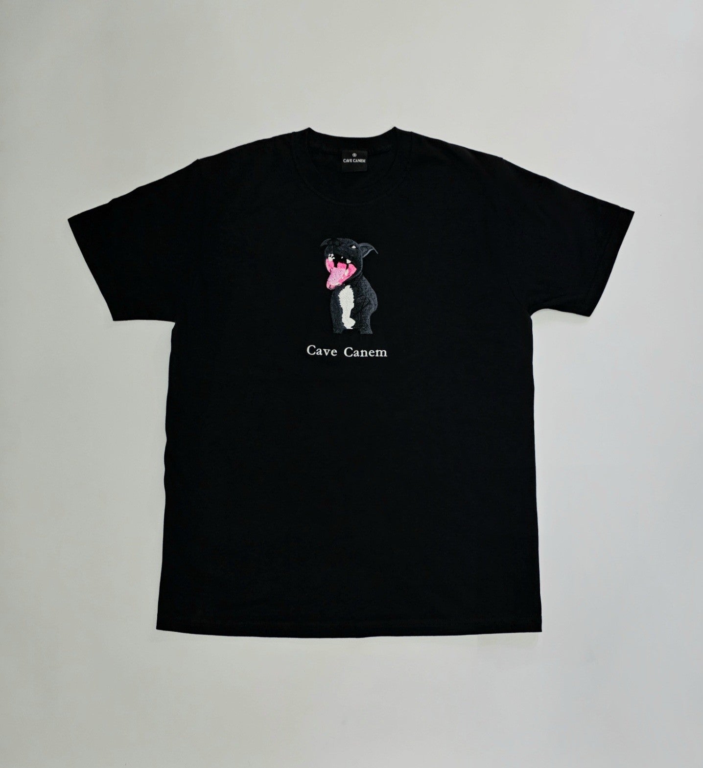 CAVE CANEM 