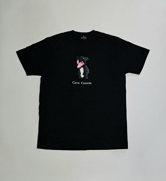 CAVE CANEM 