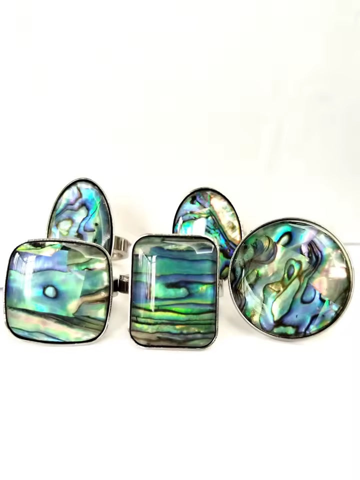 Chunky Silver Abalone Shell Ting Mixed Sizes