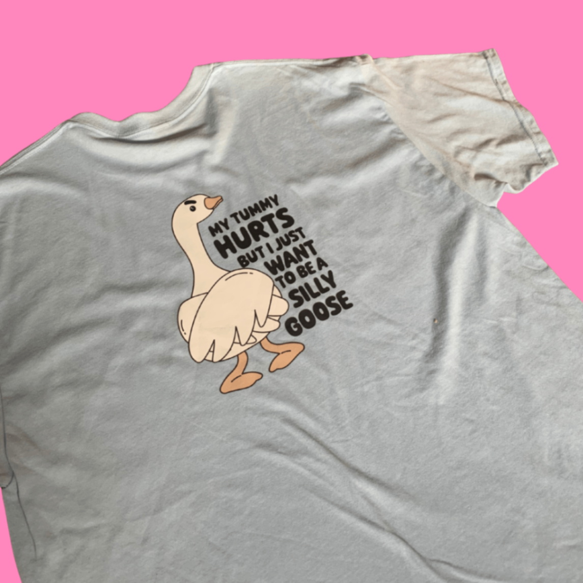 Silly goose blue tshirt