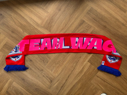 Team Wag ENGLAND scarf