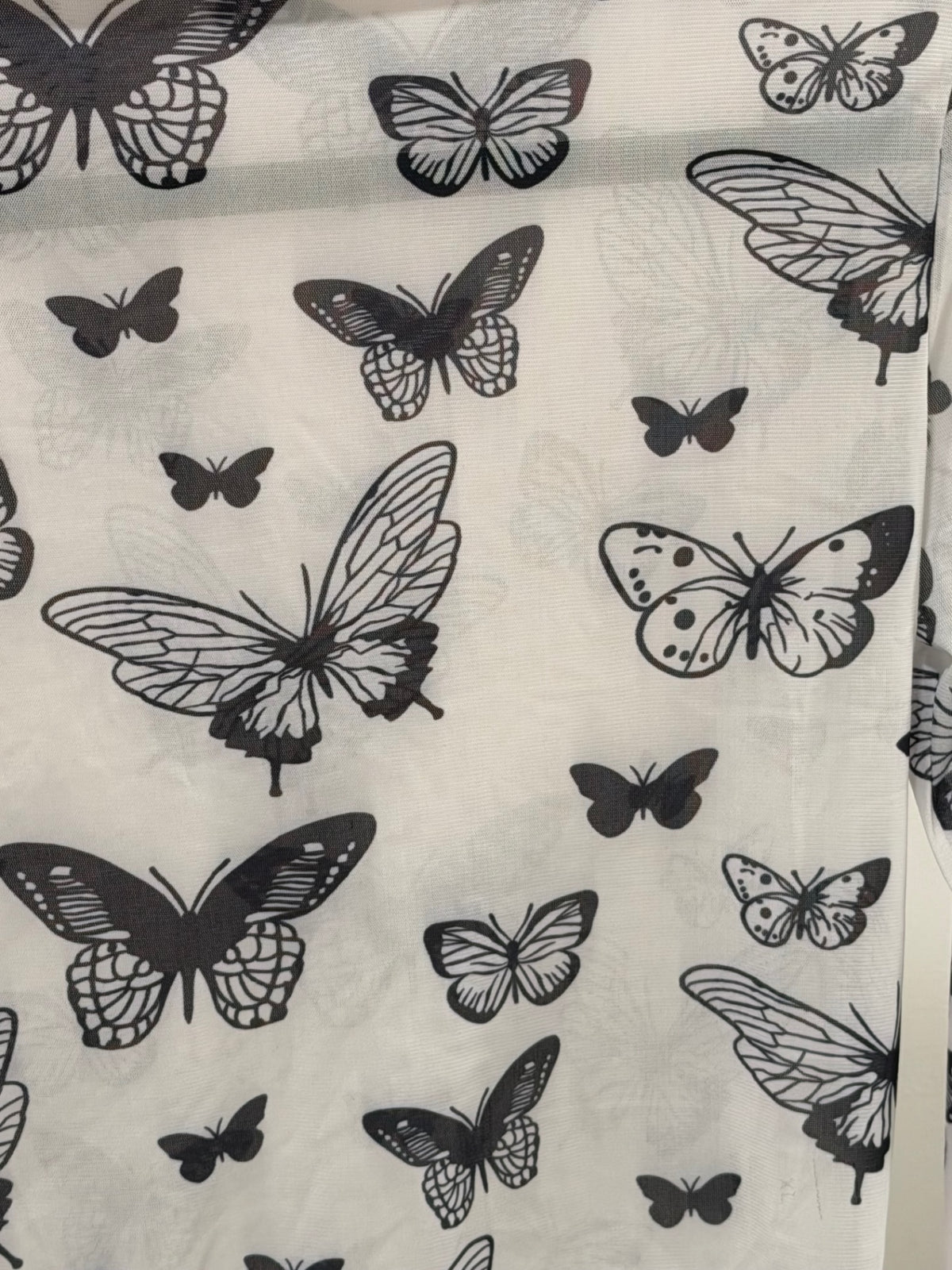 Butterfly Sheer Top