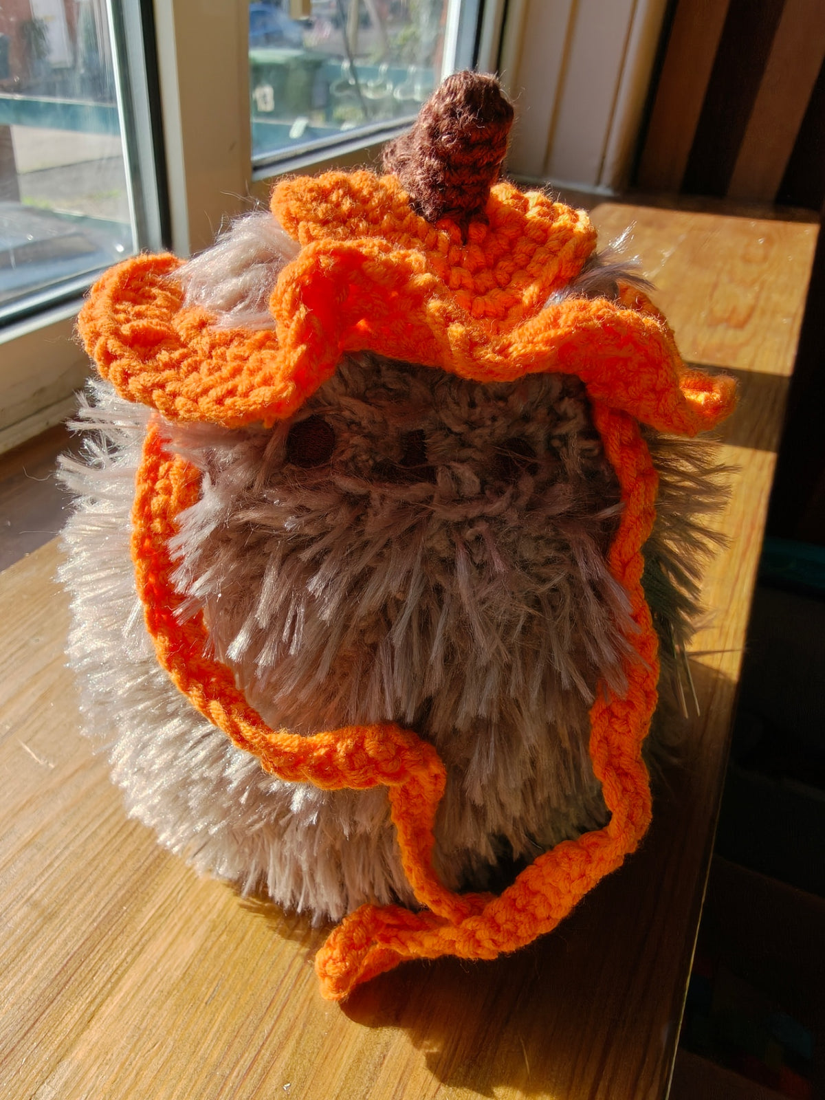 Crochet pumpkin pet/cat/ dog hat